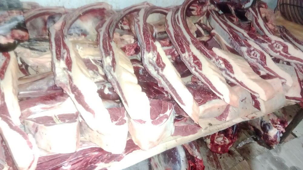 Жылқы еті сатылады. Байтал  бие,