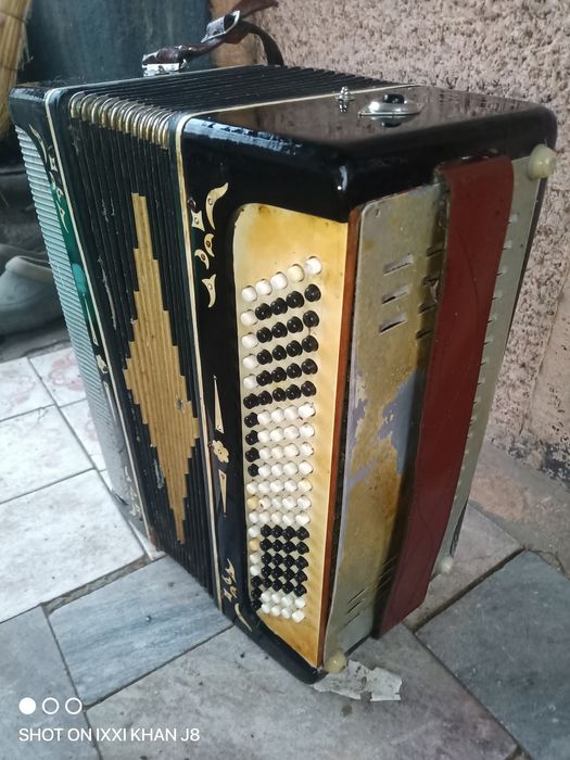 Баян.  Белорусь.