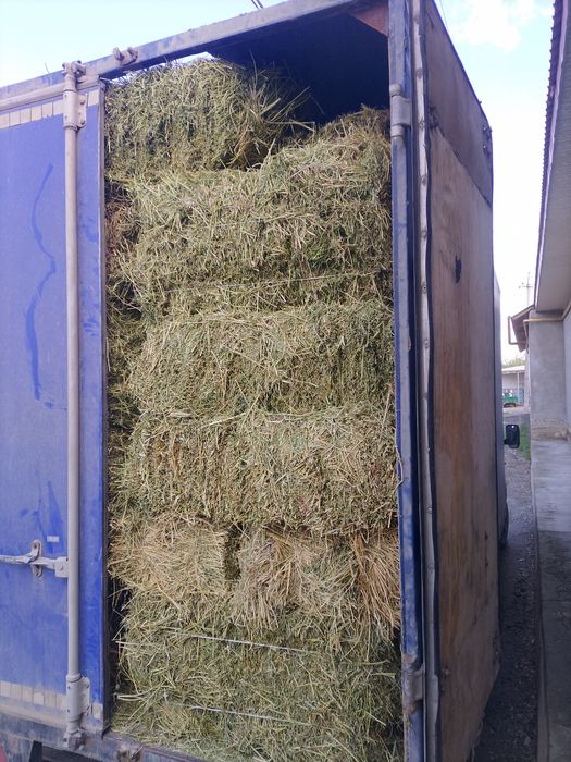 Беда прес сотилади