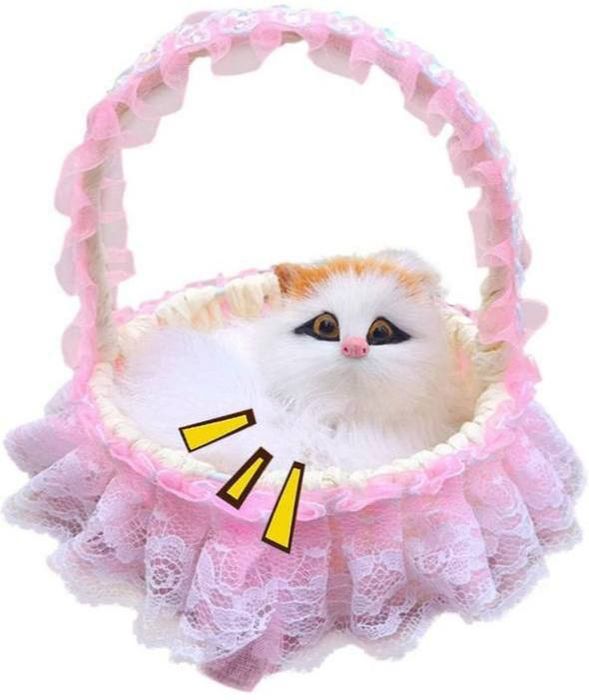 Vlada bilan porno rasmlar