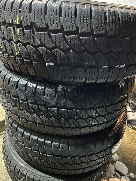 235 65 16 C Tigar iarna ms dot 2022