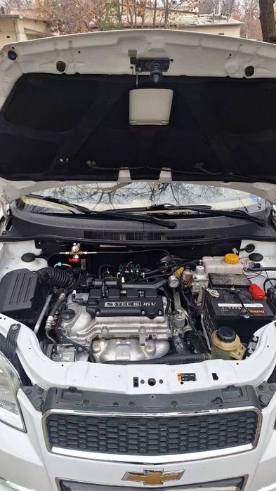 Yevro variantNexia 3