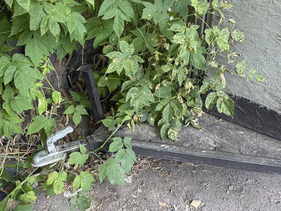 Коневозка прицеп