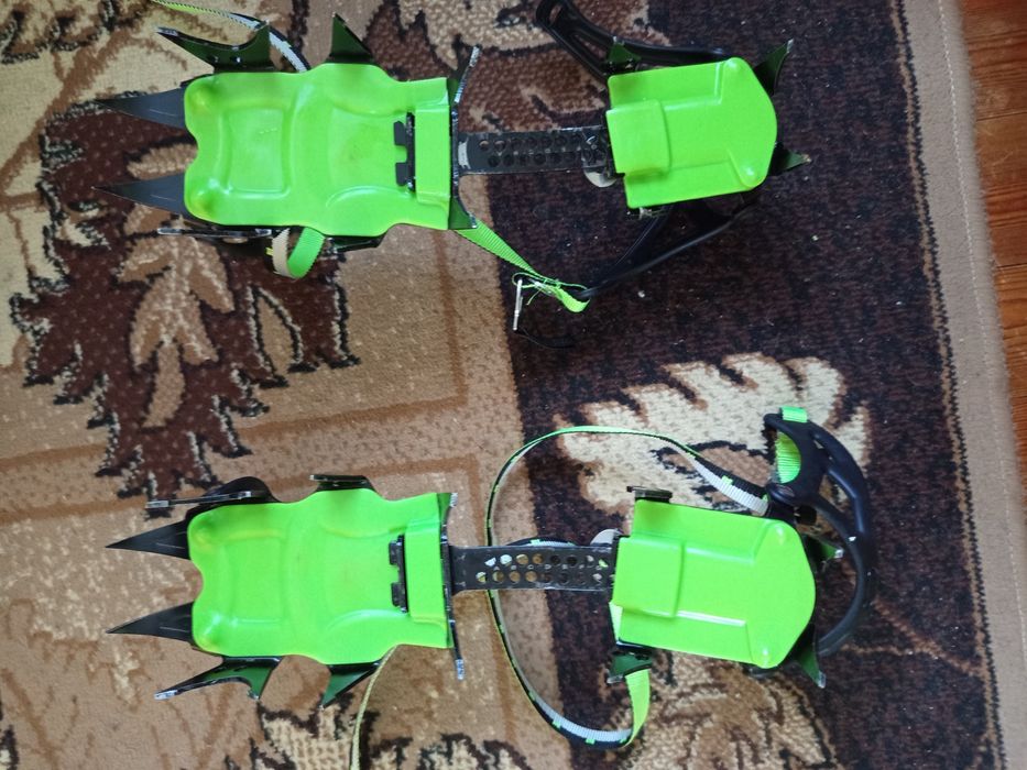 Туристически котки