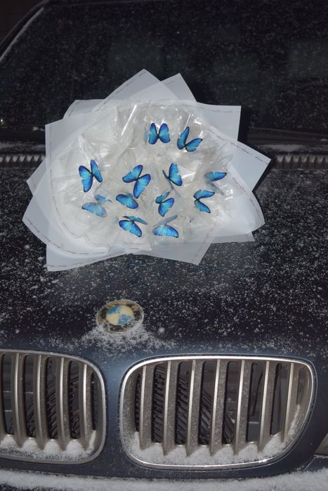 Букет из бабочек
