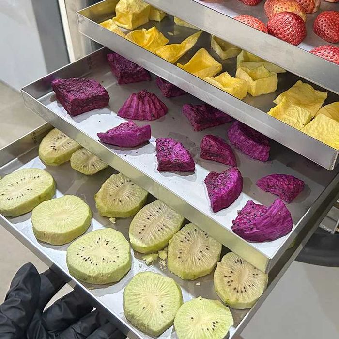 Сублиматор лиофилизатор сушилка для продуктов питания объёмом до 8кг