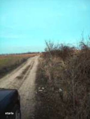 Teren intravilan Tomesti, cota parte 1/2, ID: R2992780