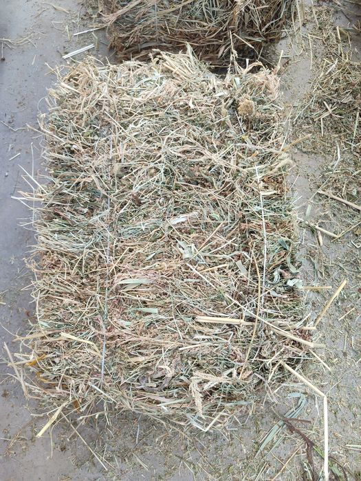 Беда пичан аралаш пресс