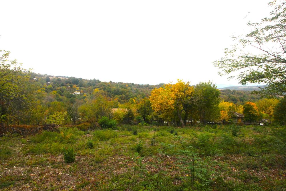 Продава се Парцел в Габрово, Беленци - 1666 кв.м за 7 €/кв.м - Снимка #3