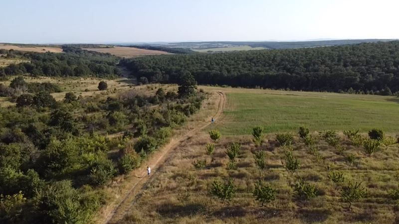Парцел в Варна, област-с.Приселци площ 5957 цена 150000