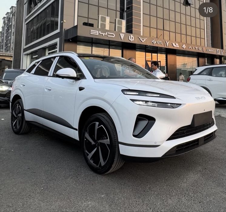 Sea lion 06 от Byd