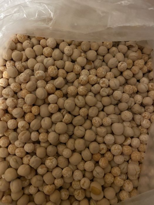 Удилище для рыбалки Цены уточняйте!!!