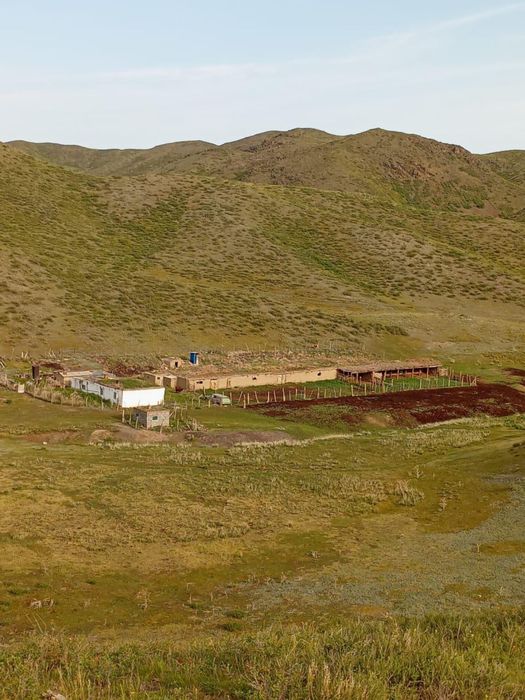 Фазенда (жер телімі) сатылады