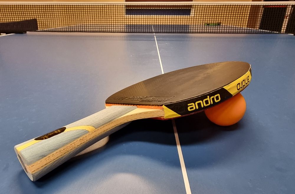 Paleta profesionala premium DHS HURRICANE LONG 5 OFF+