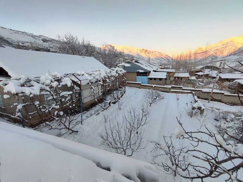 14 sutix yer sotiladi