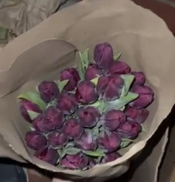 Кызғалдақтар/Тюльпаны /