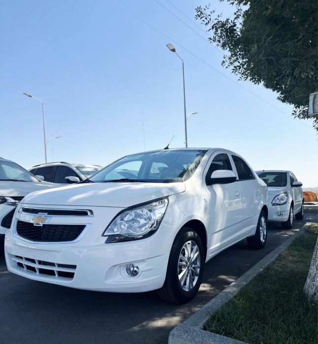 Кобальт стайл МСМ 2026 Шот справка