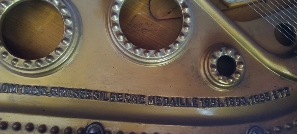 rudolf stelzhammer - in stare buna si acordat recent