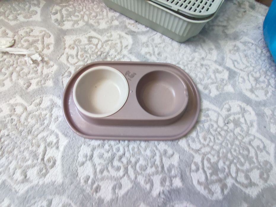 Лоток для кошки еще и миска