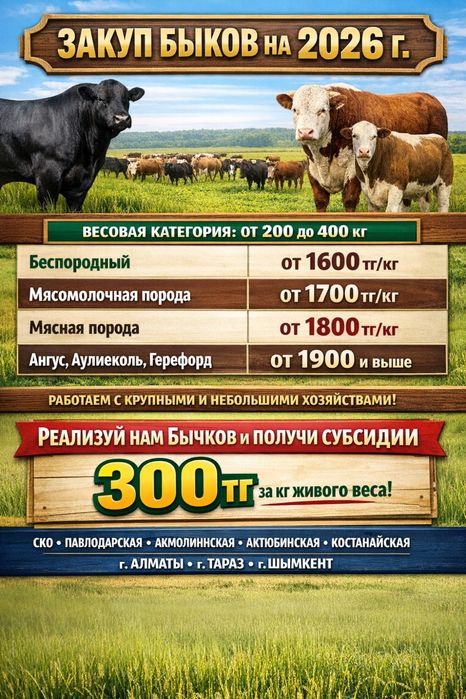 Быки только оптом