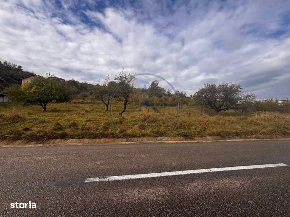 Teren Intravilan de vanzare, 2900 mp, zona Centura