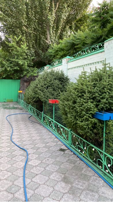 Двух этажный частный дом