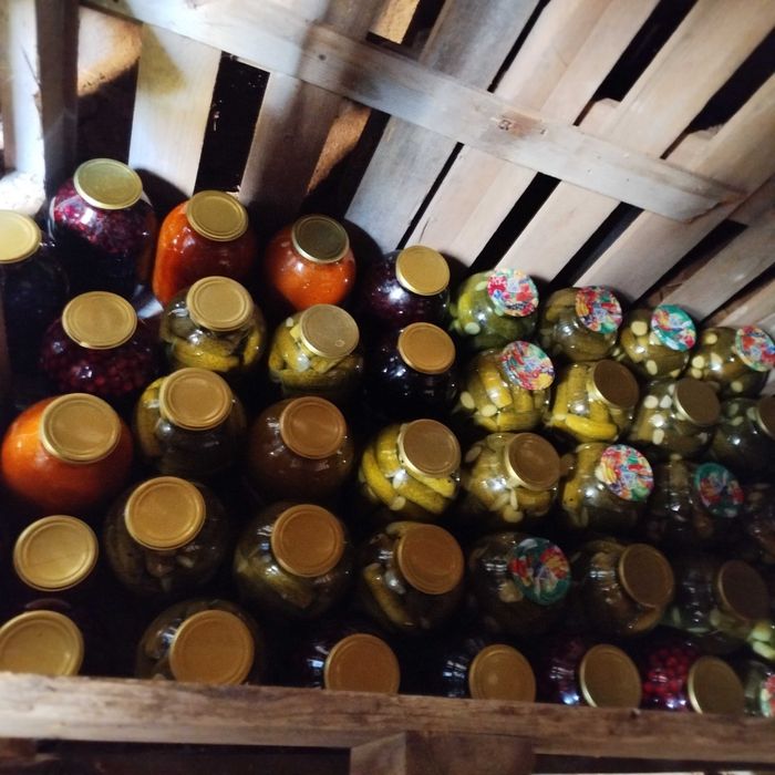 Дом в новом перспективном микрорайоне села Бурлин