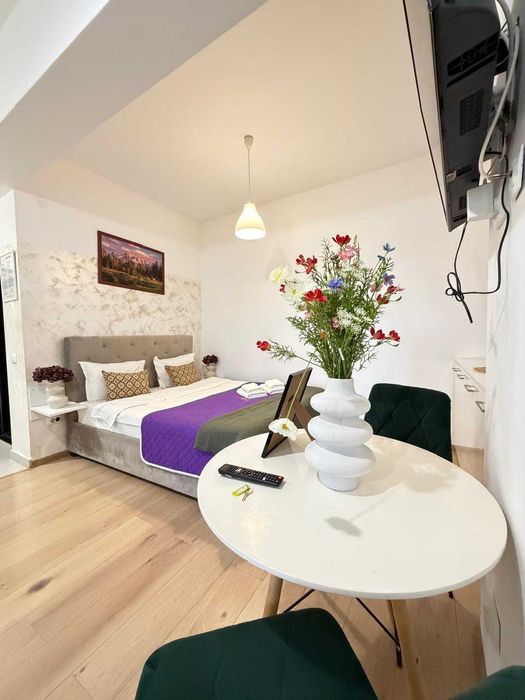 IS Cazare Regim Hotelier Ap 1-2-3 Cam Centru-Palas-Newton Blocuri Noi