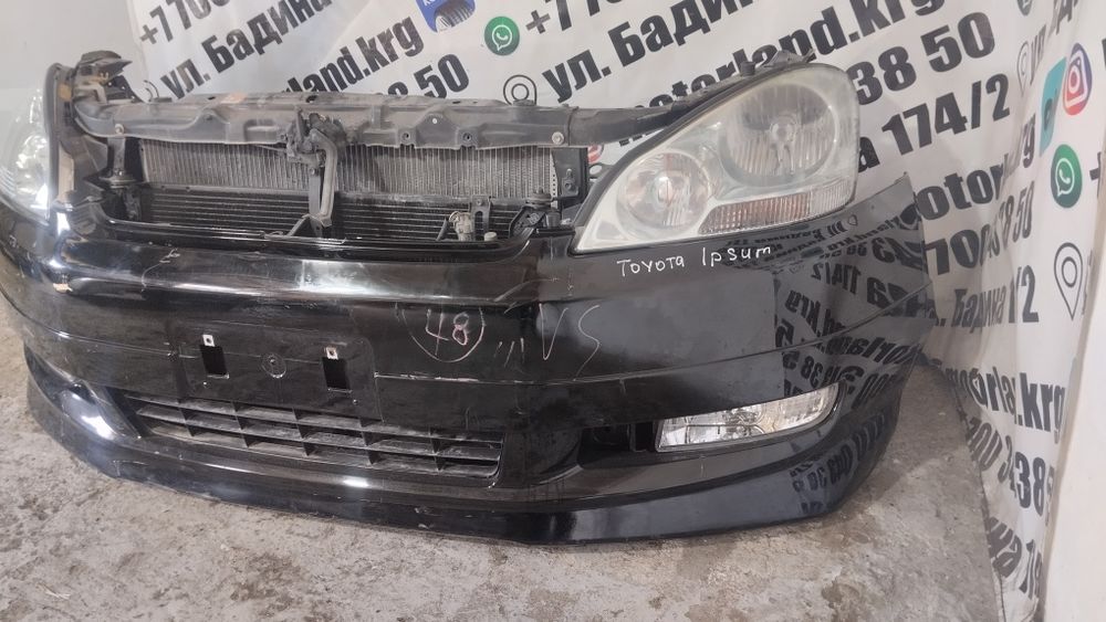 Ноускат Toyota Ipsum, Avensis verso