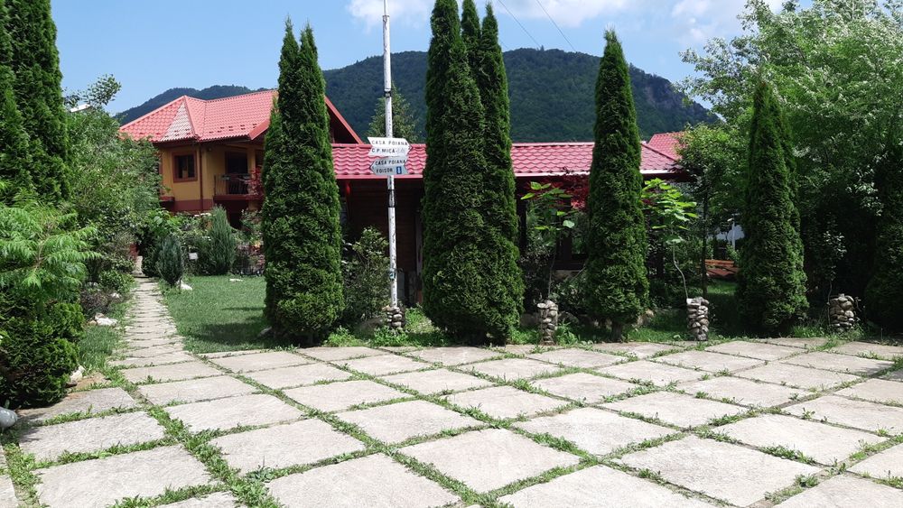 Casa de Vacanta Lepsa Vranceaa
Sup