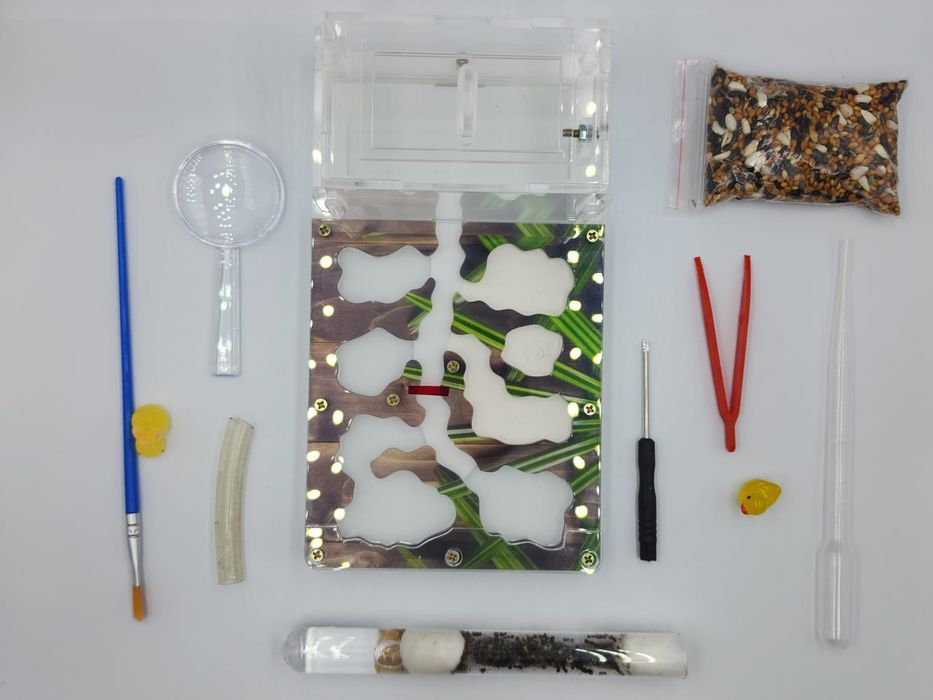 муравьиная ферма!!