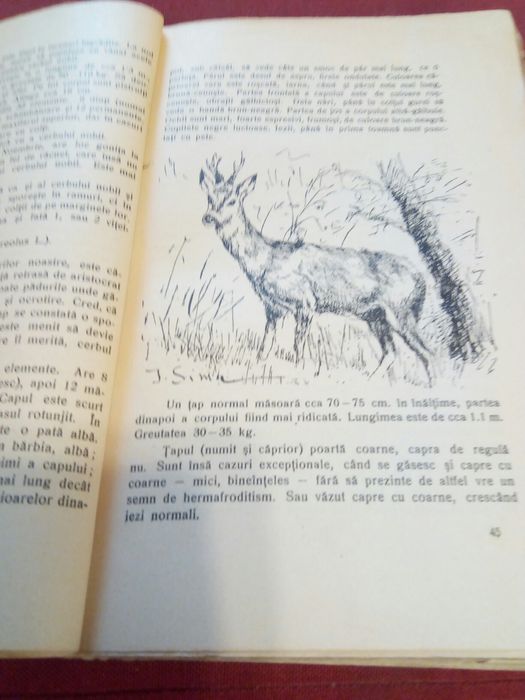 Carte veche ,,Despre vanatoare" C.A.V. Popescu 1936