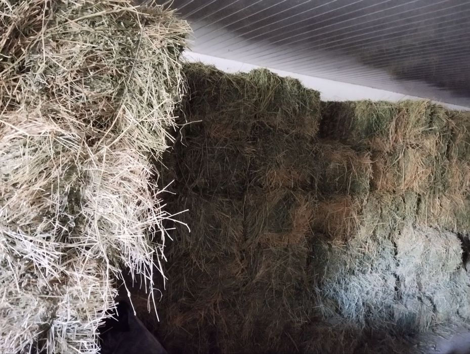 Beda pres 1metr 90 sm