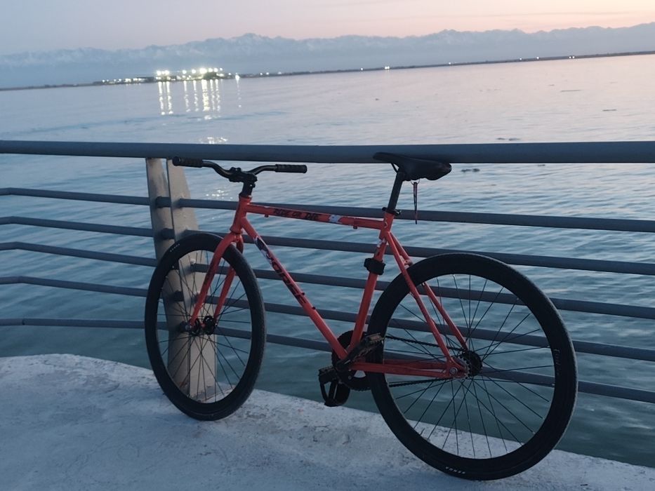Fixed gear фикс не дорого