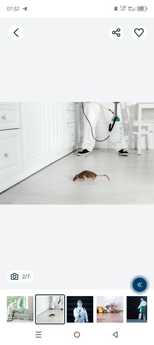 Дезинфекция дизенфекция дезенфекция | Гарантия 1 год