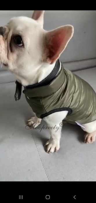 Куртка для маленьких питомцев,  (для 2-3 кг)