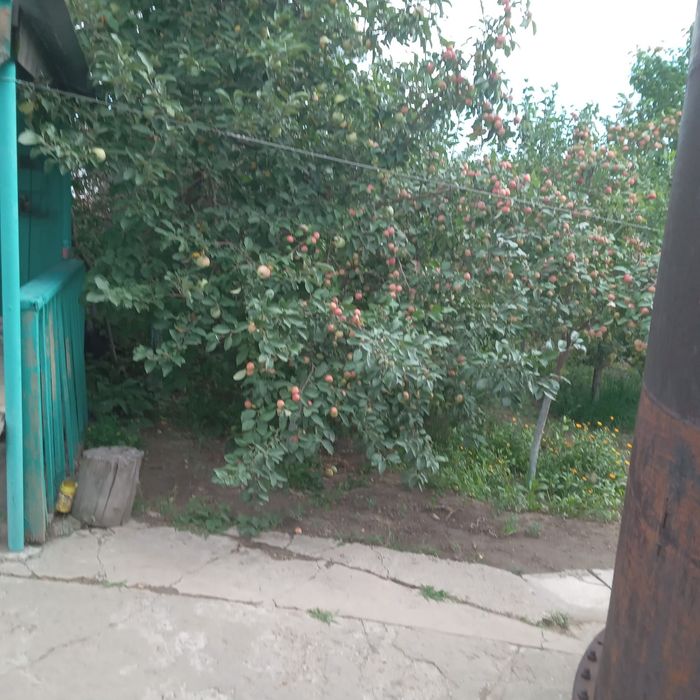 Продам дачу на Солнечной долине.
