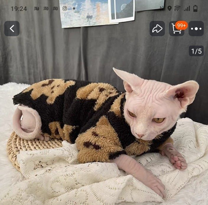 Одежда для сфинксов