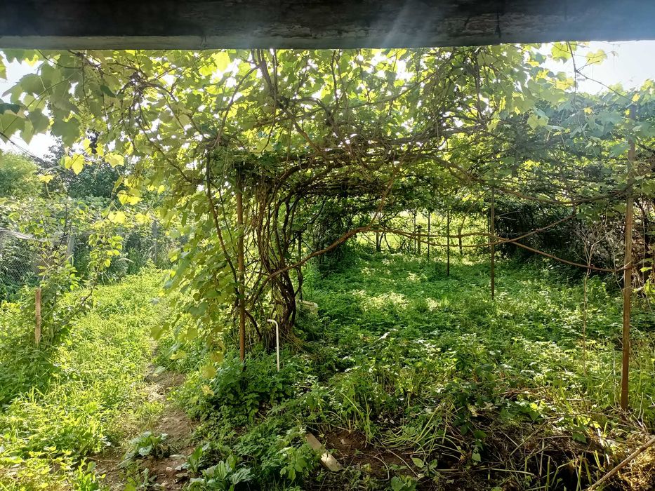 Închiriez Proprietate la munte