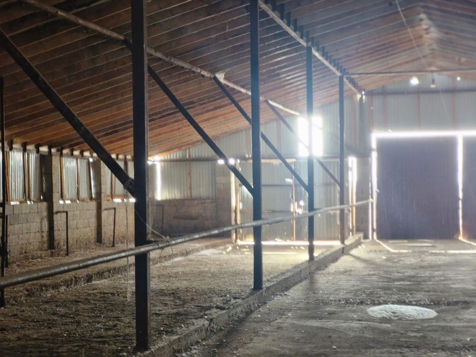 Готовый завод шампиньонов 6000соток