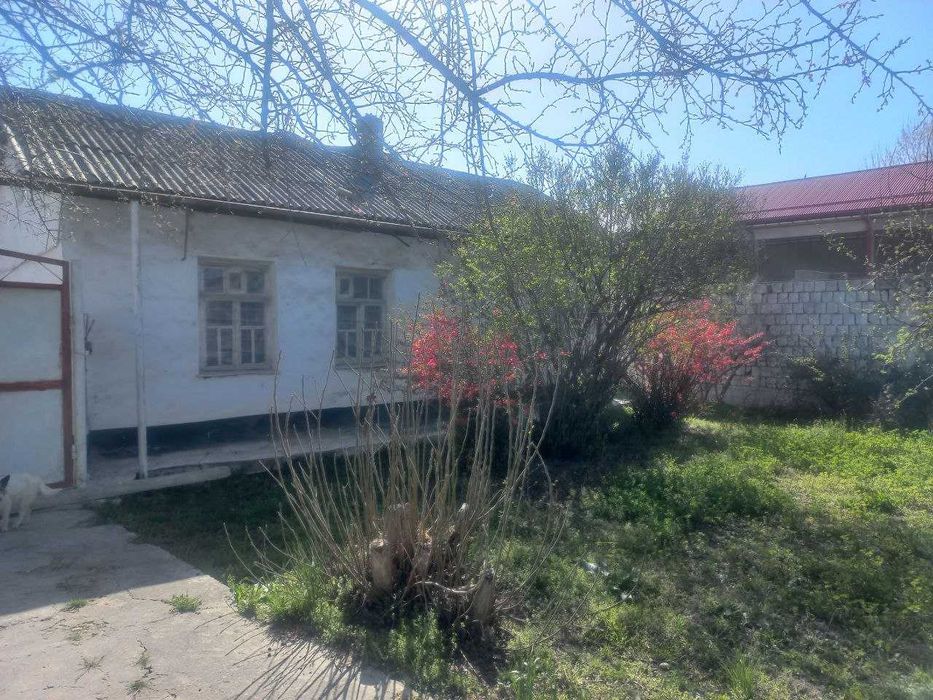 Дом в плем. совхозе (Карасу)