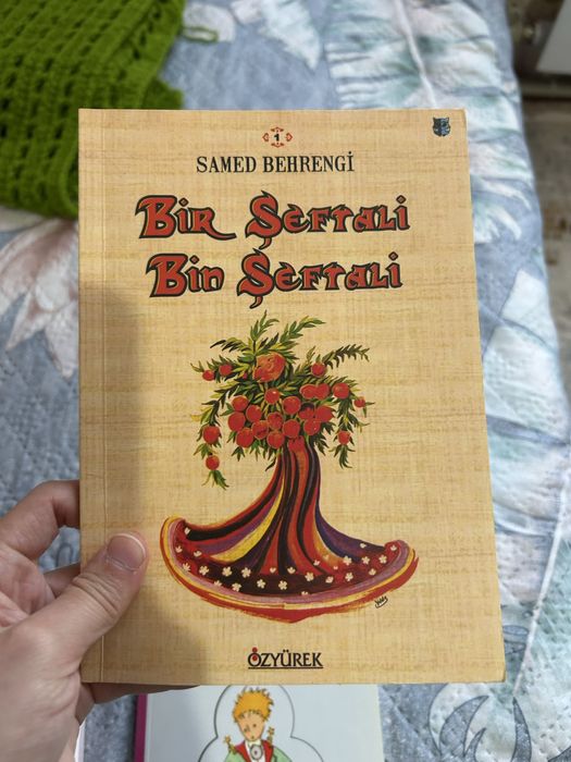 ТҮРІКШЕ КІТАПТАР+Блокнот копилка