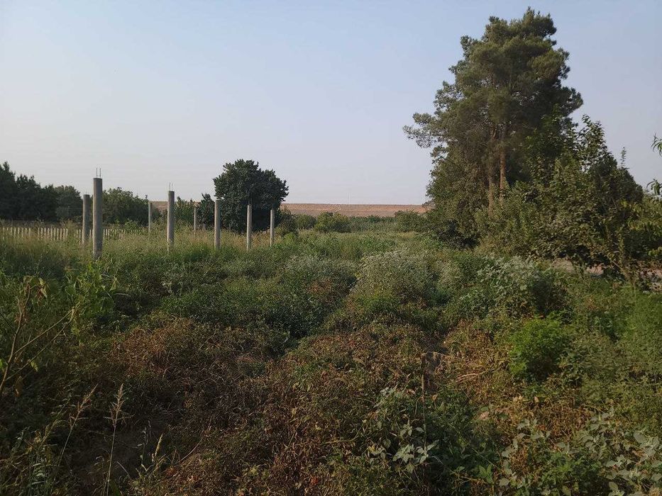 Кумкургон туман Сурхон Сохили МФЙ, А.Темур кучаси