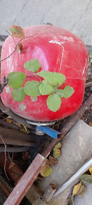 Котёль сув бучкаси билан