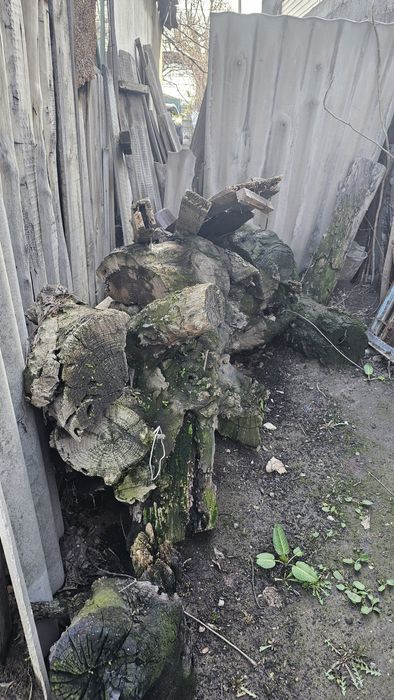 Дрова. Джюда большая