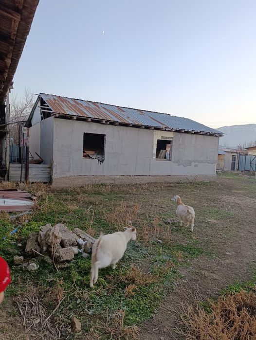 Уй  сатылады. ..