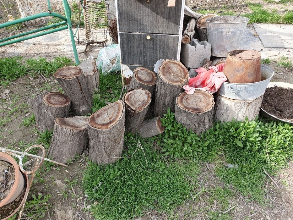 Дрова доски разные пень