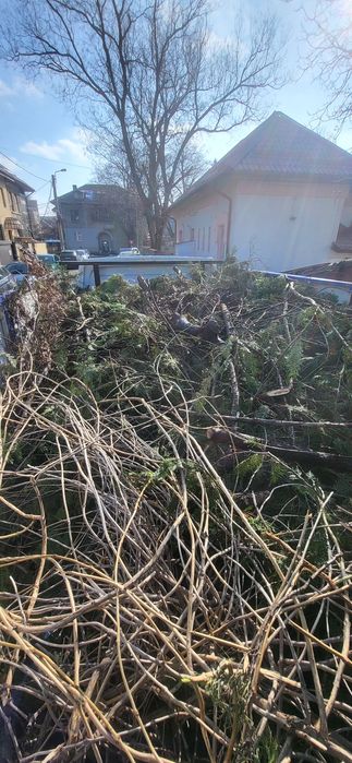 Transport , Mutari Mobilă ,   Debarasări  resturi vegetale etc