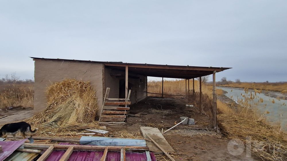 ООО продаётся База отдыха, Озеро, балык кол, сатылады