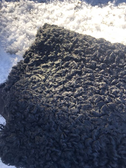 Каракуль шкурки на шубу